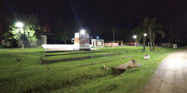 Recambios de luminarias en “Paseo la Memoria”