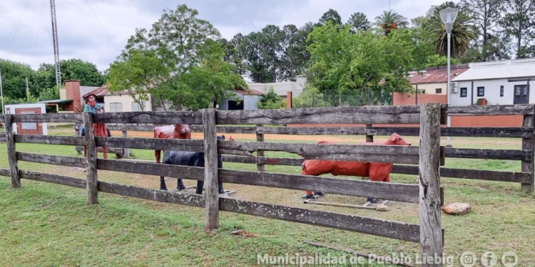 RECREANDO LA HISTORIA DE PUEBLO LIEBIG