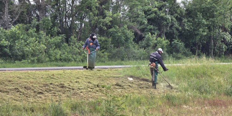 Mantenimiento en banquinas y caminos vecinales.