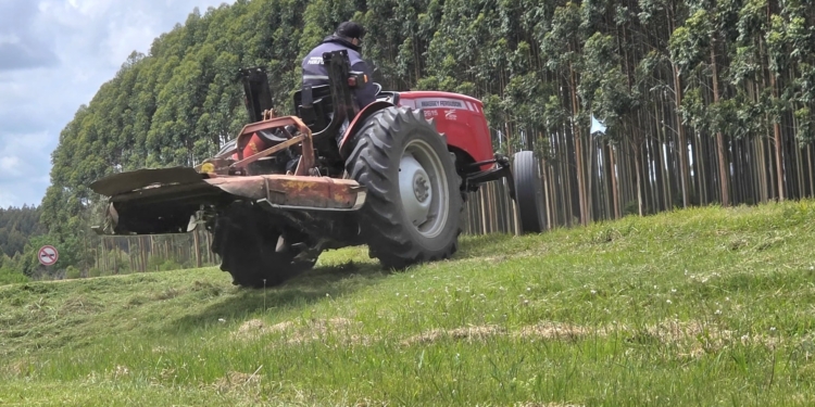 Continúan los trabajos en banquinas y caminos rurales