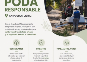 Conservación y seguridad: Plan de Poda Responsable en Pueblo Liebig