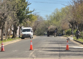 Pueblo Liebig avanza con el Plan de Poda Correctiva