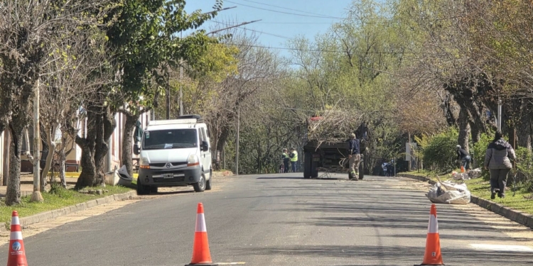 Pueblo Liebig avanza con el Plan de Poda Correctiva